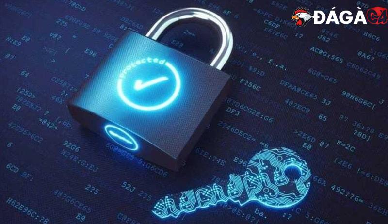 Tìm hiểu về chính sách bảo mật tại trang web Đá Gà C4