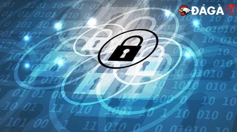 Tìm hiểu về chính sách bảo mật tại trang web Đá Gà C4
