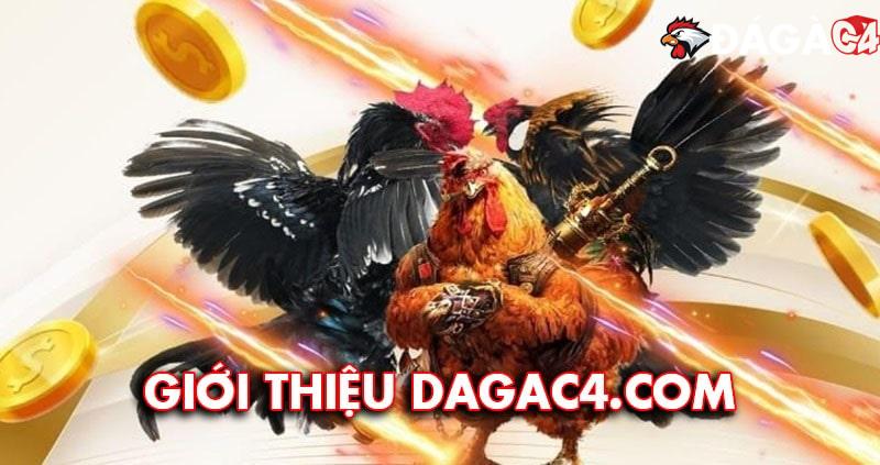 Giới thiệu Đá Gà C4 – Trang web đá gà trực tiếp Thomo uy tín