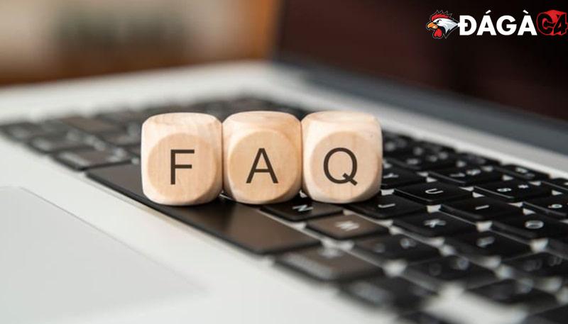 Giới thiệu Đá Gà C4 – Trang web đá gà trực tiếp Thomo uy tín
