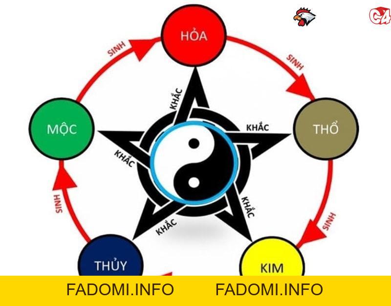 Việc xem màu mạng đá gà có cần thiết với sư kê không?