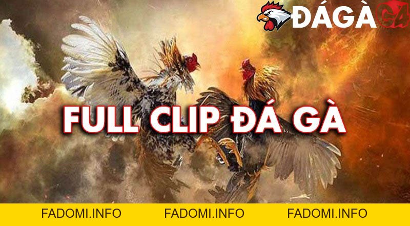 Video Đá Gà Phát Lại Full CPC3, CPC4, PO1, TH7A, TH7B, TH7C
