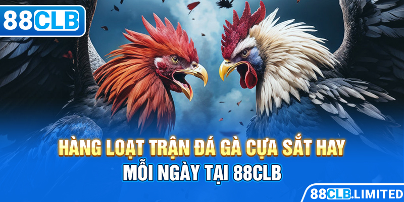 Thiên Đường Đá Gà 88CLB Trực Tiếp Thomo | Mộc Hóa | Dakpuer