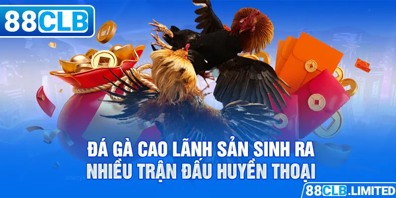 Trực Tiếp Đá Gà Miền Tây 88CLB Cao Lãnh - Trà Vinh - Bến Tre