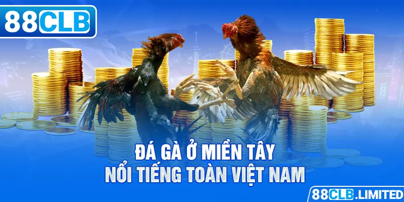 Trực Tiếp Đá Gà Miền Tây 88CLB Cao Lãnh - Trà Vinh - Bến Tre
