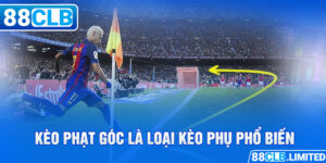 Cá Cược Thể Thao 88CLB Tỷ Lệ Thưởng Cao Nhất Châu Á 2026