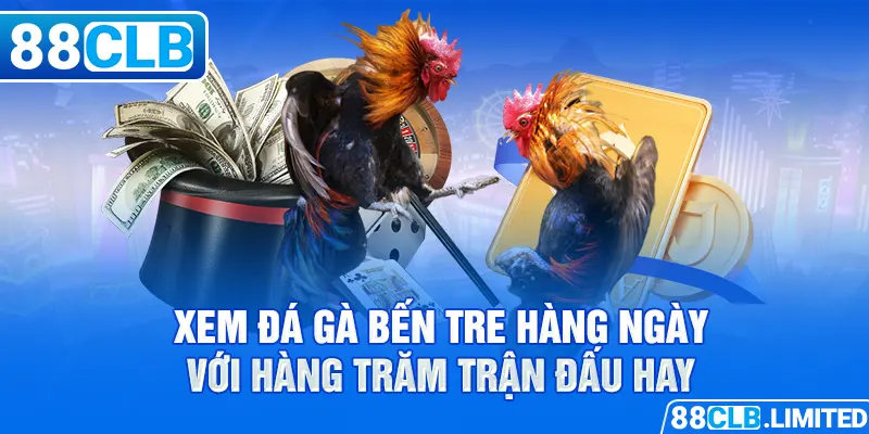 Trực Tiếp Đá Gà Miền Tây 88CLB Cao Lãnh - Trà Vinh - Bến Tre