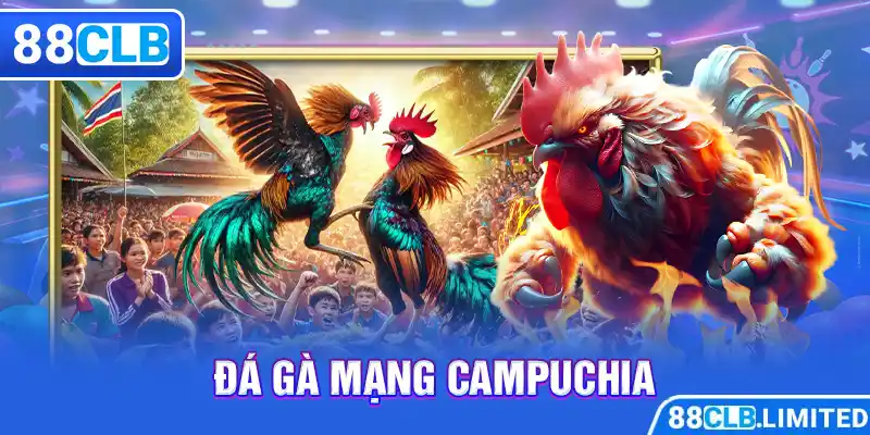 Thiên Đường Đá Gà 88CLB Trực Tiếp Thomo | Mộc Hóa | Dakpuer