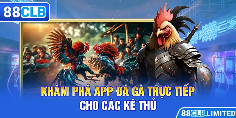App Đá Gà Trực Tiếp 88CLB - An Toàn, Tiện Lợi Và Đẳng Cấp - 88CLB
