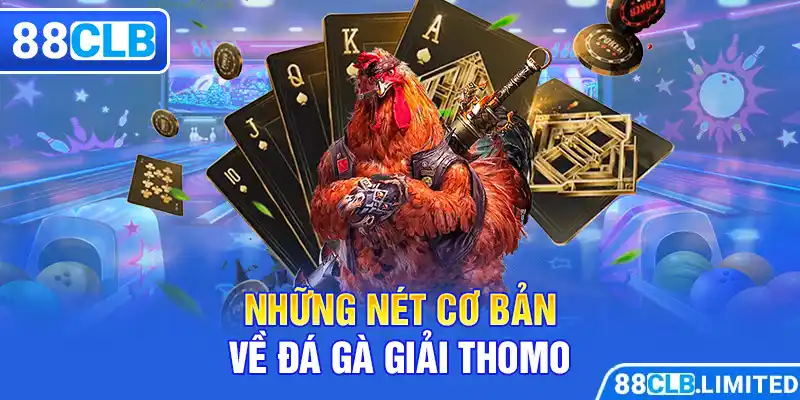 Đá Gà Giải Thomo - Siêu Cuốn Hút - Siêu Hấp Dẫn Cùng 88CLB - 88CLB