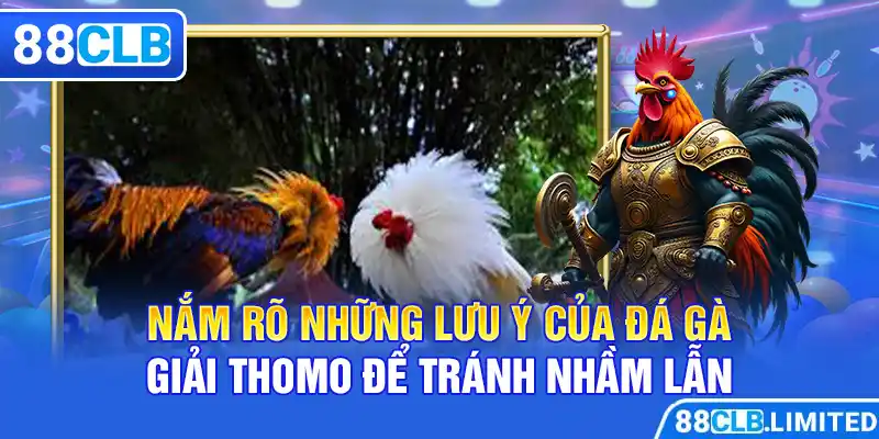 Đá Gà Giải Thomo - Siêu Cuốn Hút - Siêu Hấp Dẫn Cùng 88CLB - 88CLB