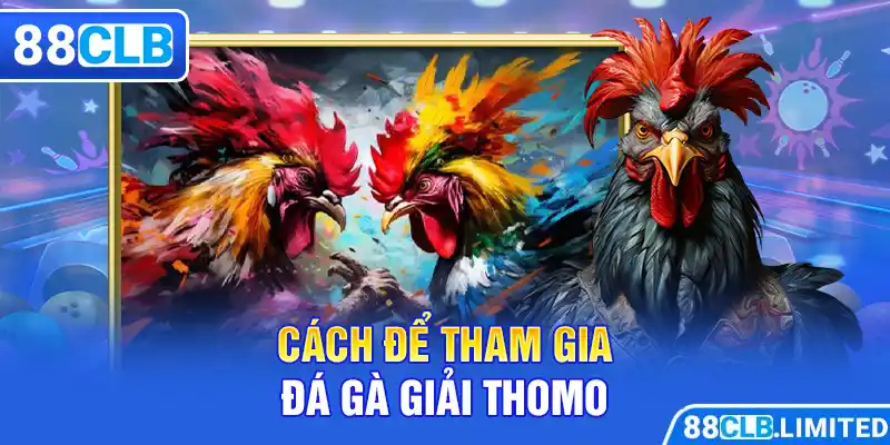 Đá Gà Giải Thomo - Siêu Cuốn Hút - Siêu Hấp Dẫn Cùng 88CLB - 88CLB