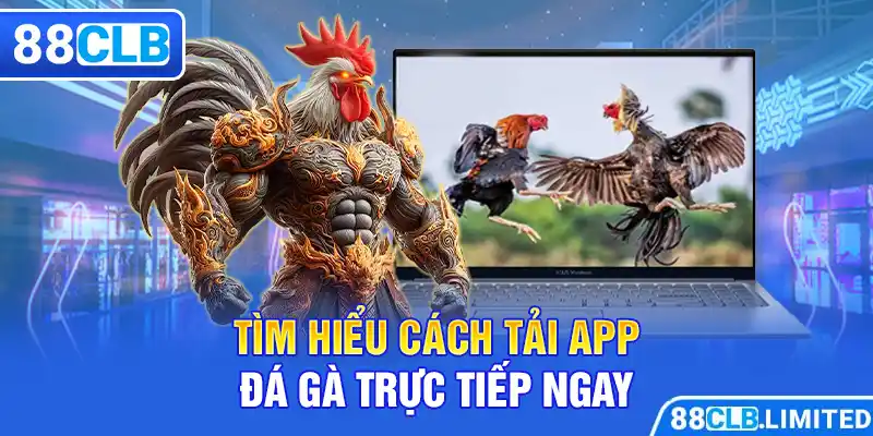 App Đá Gà Trực Tiếp 88CLB - An Toàn, Tiện Lợi Và Đẳng Cấp - 88CLB