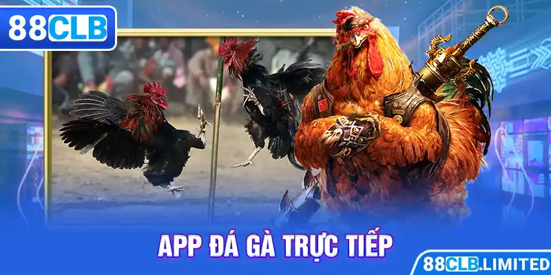 Thiên Đường Đá Gà 88CLB Trực Tiếp Thomo | Mộc Hóa | Dakpuer
