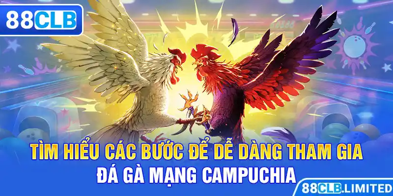 Đá Gà Mạng Campuchia Trải Nghiệm Siêu Đỉnh Cao Cùng 88CLB - 88CLB