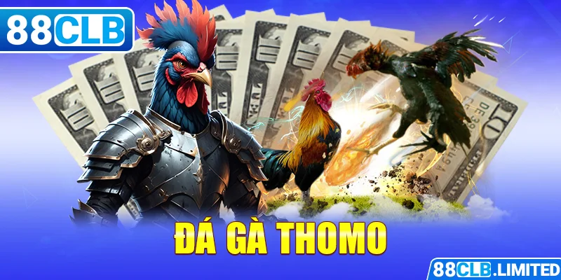 Thiên Đường Đá Gà 88CLB Trực Tiếp Thomo | Mộc Hóa | Dakpuer