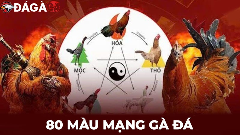 Tin tức đá gà hôm nay cập nhật kiến thức hay về bộ môn đá gà