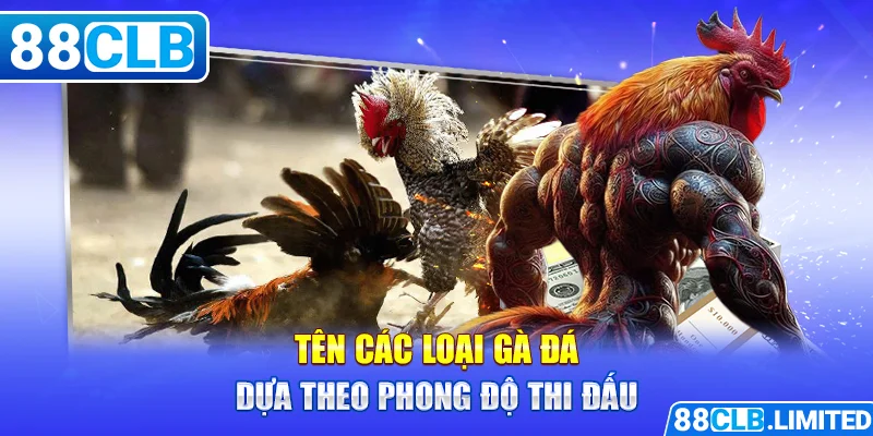 Tên Các Loại Gà Đá - Kiến Thức Cơ Bản Của Sư kê 88CLB