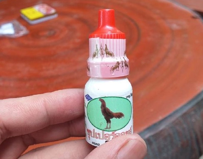 Gà chọi hỏng mỏ dưới và cách điều trị cho gà phục hồi nhanh