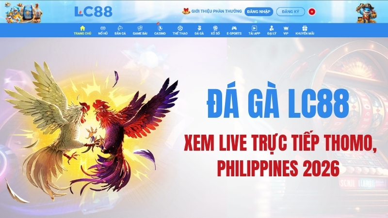 Đá Gà LC88: Sảnh Đá Gà & Hướng Dẫn Theo Dõi