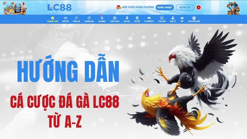 Đá Gà LC88: Sảnh Đá Gà & Hướng Dẫn Theo Dõi