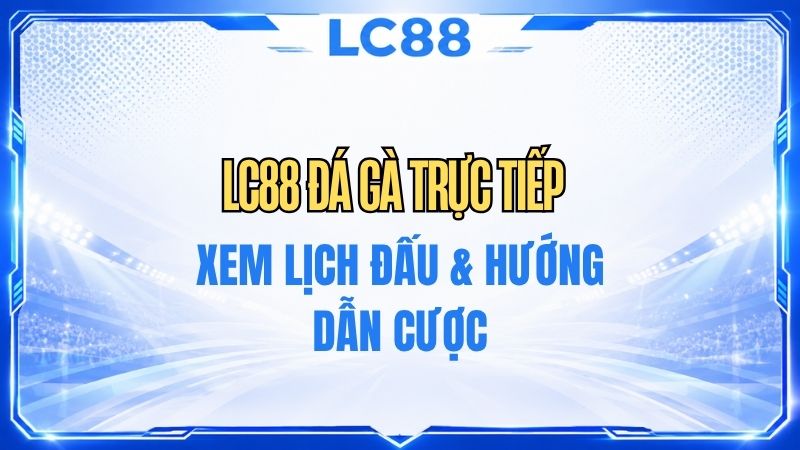 Đá gà - LC88
